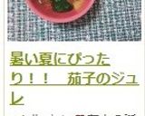 暑い夏にぴったり!! 茄子のジュレ作り方21写真