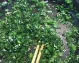 簡単　かぶの葉としらすのご飯のおとも作り方3写真