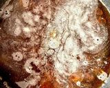 磯の貝の旨煮作り方4写真
