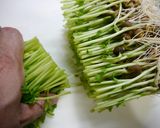 レンジで簡単！豚バラ豆苗作り方1写真