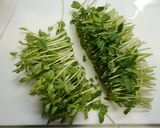 レンジで簡単！豚バラ豆苗作り方2写真