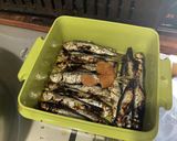 ままかりの焼き酢漬け　Ver2作り方4写真