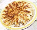おから入り餃子作り方8写真