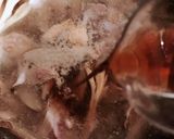 食べるスープ デトックスごぼうスープ♡作り方14写真
