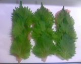 くるくる大葉のささみ(^^♪わさび焼き♪作り方2写真