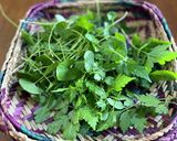Sri Lankan Salad作り方1写真