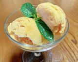 かんたんバニラアイス作り方5写真