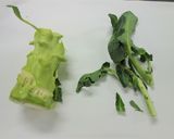 ブロッコリーの茎の塩きんぴら作り方2写真