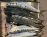 いわしの梅煮『きのう何食べ』#5作り方2写真