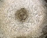 モロヘイヤとオクラのねばねば合え作り方3写真