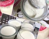 水切りヨーグルト＆りんご酢とろりデザート作り方18写真