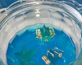 クック寒天で七夕のプチデザートはお星さま作り方6写真