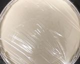 わたしの基本のレアチーズケーキ作り方25写真