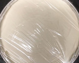 わたしの基本のレアチーズケーキ作り方25写真