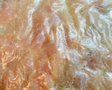 簡単15分◎ふわふわでおいしいささみ作り方5写真