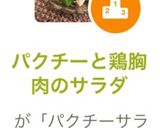 パクチーと鶏胸肉のサラダ作り方6写真