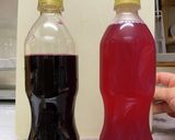 お手軽冷凍ブルーベリー酢作り方7写真