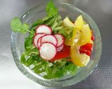 夏野菜、毎日浅漬け作り方17写真