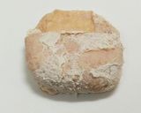チキンに化け損ねたフライドきつね作り方3写真