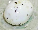群馬発ムゲンソルトでハーブソルト味の味玉作り方10写真