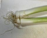 簡単おつまみ♩九条葱と烏賊ゲソのぬた作り方2写真