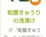 蛇腹きゅうりの浅漬け作り方7写真