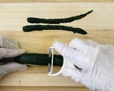 カレーに願いを!七夕笹の葉カレー作り方1写真