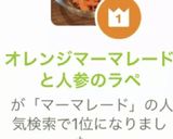 オレンジマーマレードと人参のラペ作り方13写真