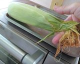 台所汚さずトウモロコシを簡単むく方法作り方3写真