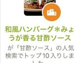和風ハンバーグ＊みょうが香る甘酢ソース作り方15写真