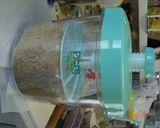 関西味 1ヶ月でできる甘口白味噌作り方10写真