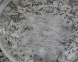 電子レンジで簡単調理♥長芋と挽肉の蒸し物作り方1写真