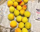 梅干しの作り方　ジップロック作り方1写真