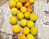 梅干しの作り方 ジップロック作り方1写真