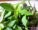定番ガパオライス とこぐらver.作り方7写真