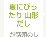 夏にぴったり 山形だし作り方6写真