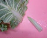 ロールキャベツ☆夏野菜ラタトゥイユ仕立て作り方1写真