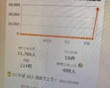 大葉とトウモロコシのかき揚げ作り方10写真