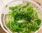 【家つま】水菜の即席漬け作り方1写真