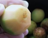 傷あり生梅がもったいない!即席 ねり梅作り方3写真
