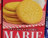 材料３つで簡単！アーモンドチロルチョコ作り方11写真