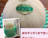 メロン つがりあん ビレンス作り方1写真