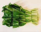 お弁当にも！小松菜と油揚げの塩炒め作り方1写真