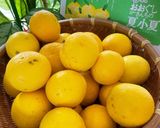 夏におすすめ！　夏小夏のチーズマフィン作り方1写真