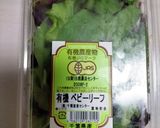豆腐＆キムチのヘルシーサラダ作り方1写真