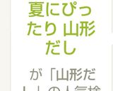 夏にぴったり 山形だし作り方7写真