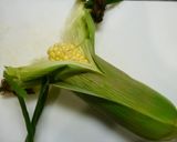レンジで簡単！茹でとうもろこし　1本4分作り方1写真