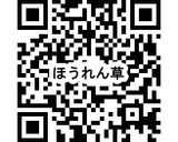 ほうれん草ケーキ作り方9写真