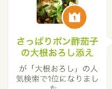 さっぱりポン酢茄子の大根おろし添え作り方8写真