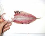 いわしさばき方♪簡単バターしょうゆ焼き作り方7写真